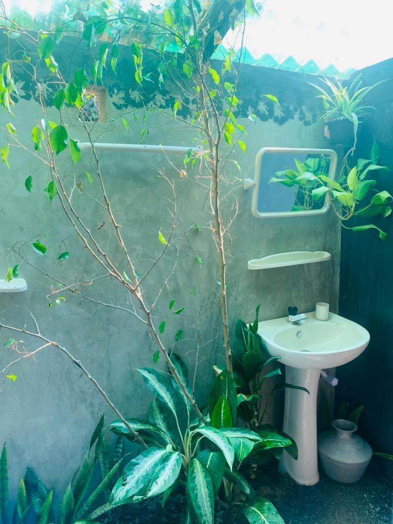 Malabar Home Stay جافنا الغرفة الصورة