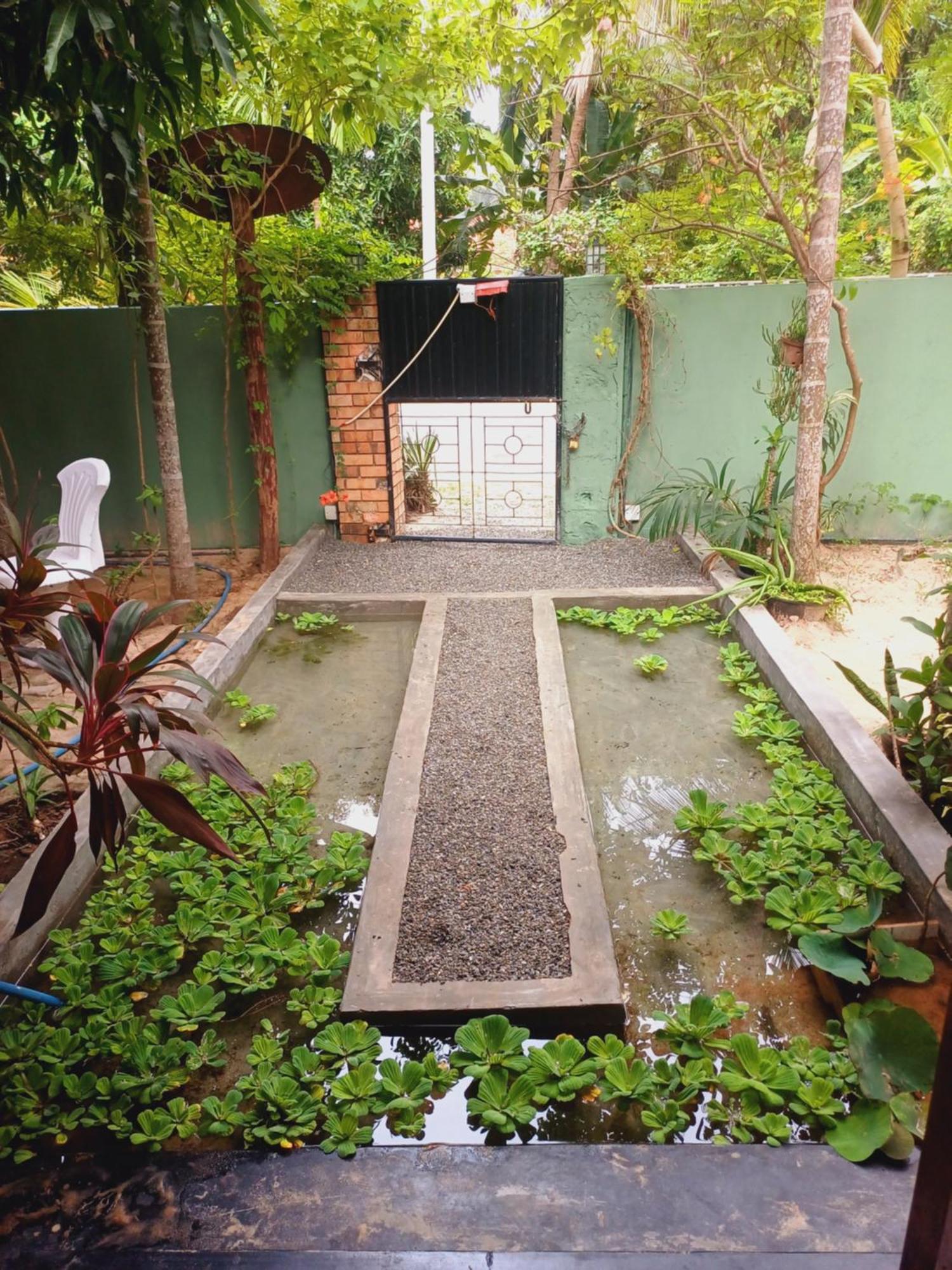 Malabar Home Stay جافنا المظهر الخارجي الصورة